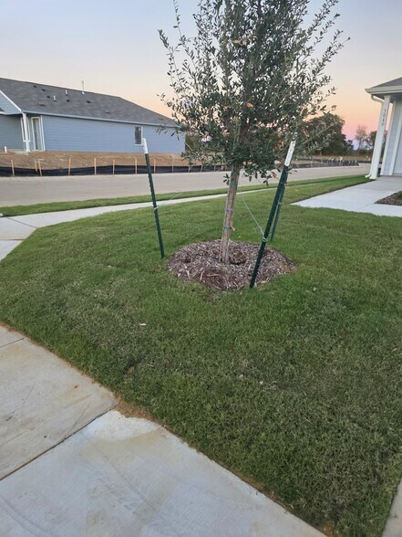 Building Photo - 3040 Burmese St