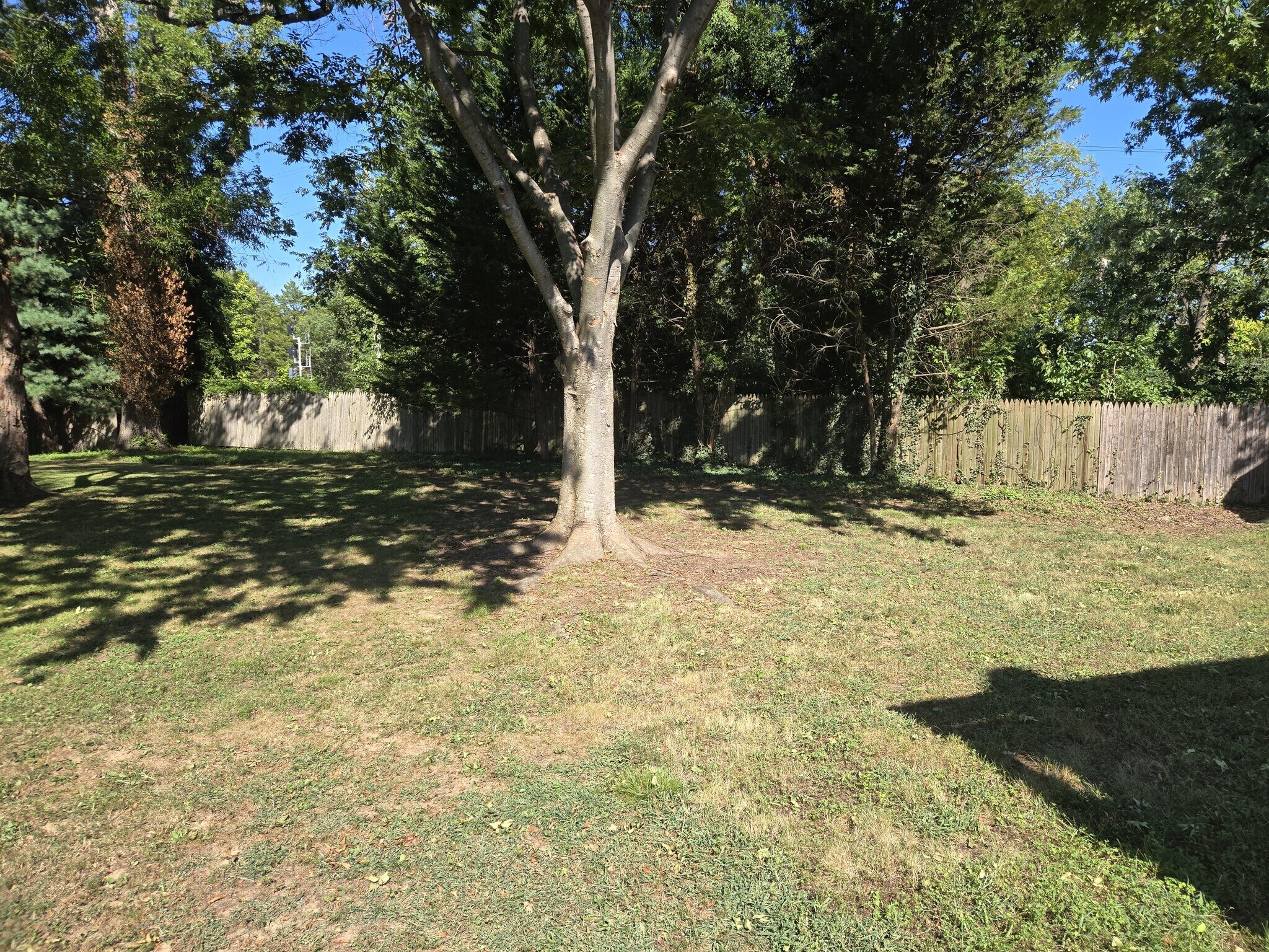 Building Photo - 5801 Harrison Ave