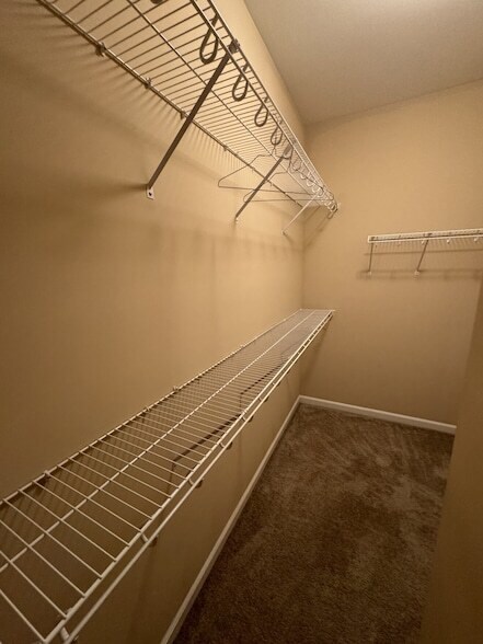 Building Photo - 3344 Cornerstone Dr