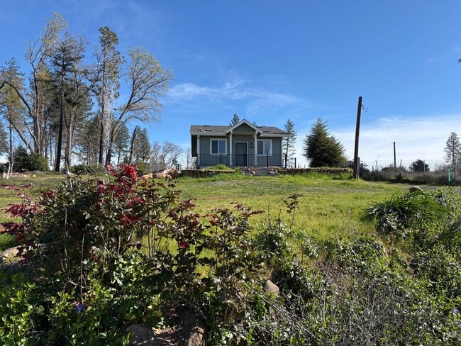 Building Photo - 1329 Taylor Ln