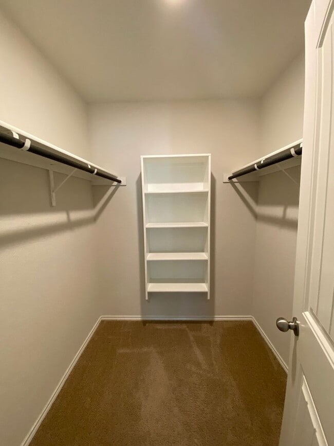 Building Photo - 122 Moscovy Duck