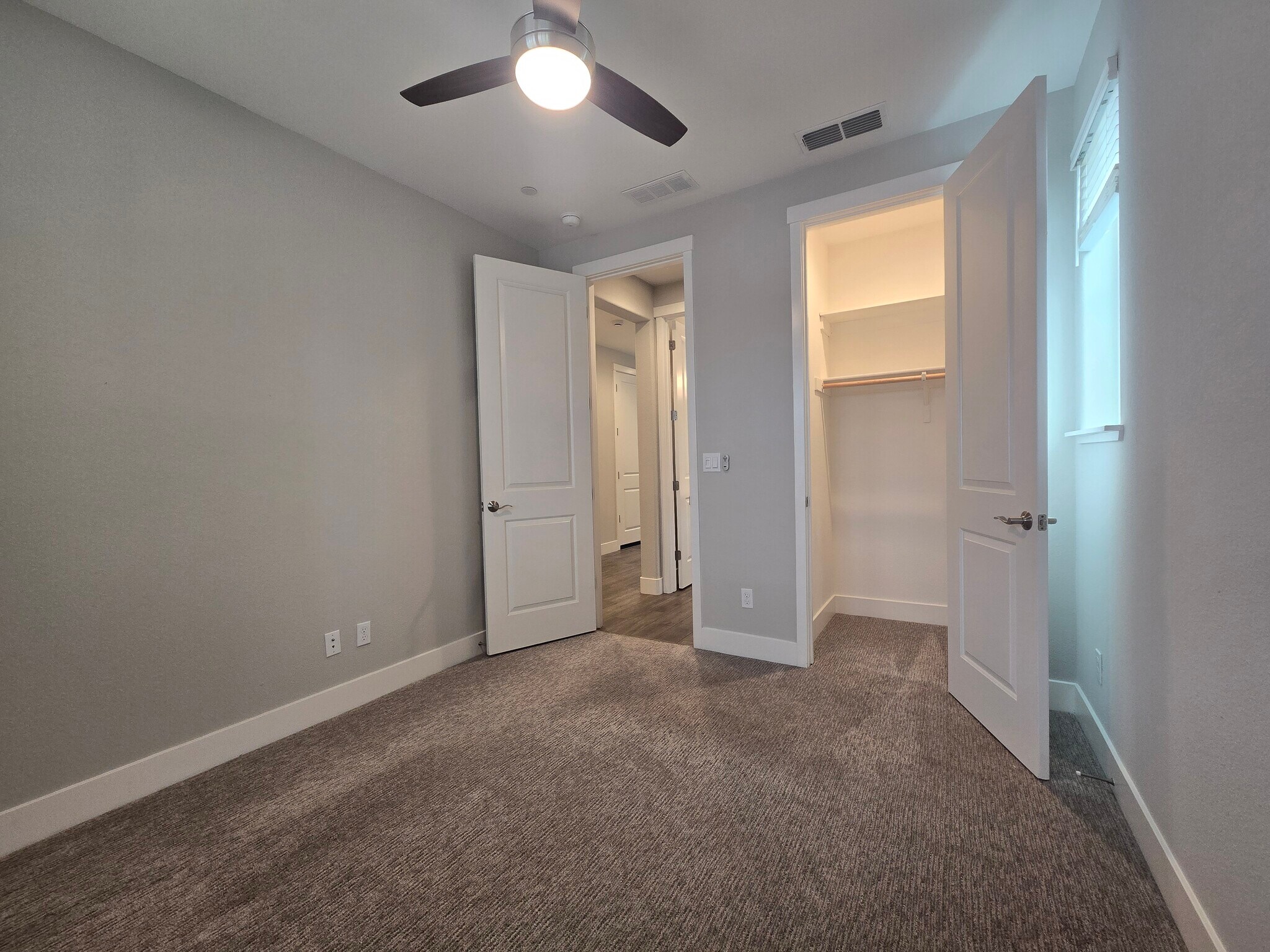 Downstairs / guest bedroom - 1429 Brody Bird Ln