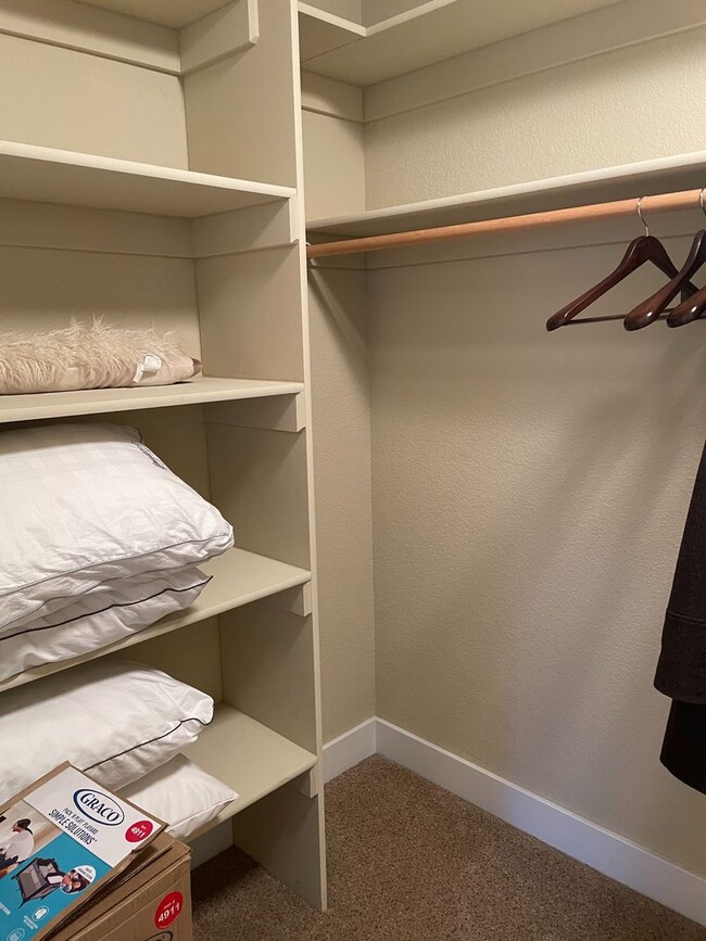 Building Photo - Beautiful 4 Bed 3 Bath House in Northeast Fort Collins!