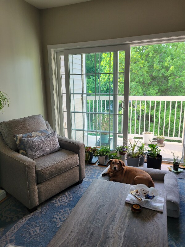 Building Photo - 23 Augustus Ct