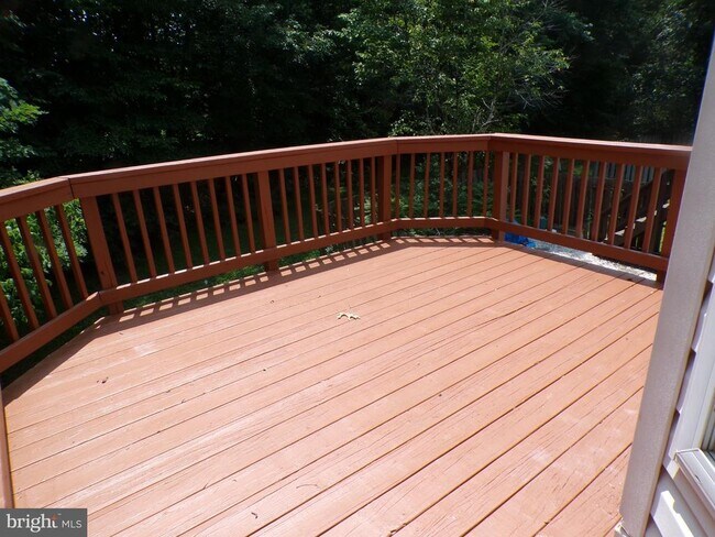 Building Photo - 114 Park Cove Dr
