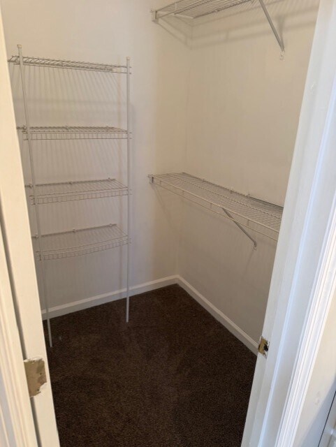 Walk in Closets - 911 Cammaron Way