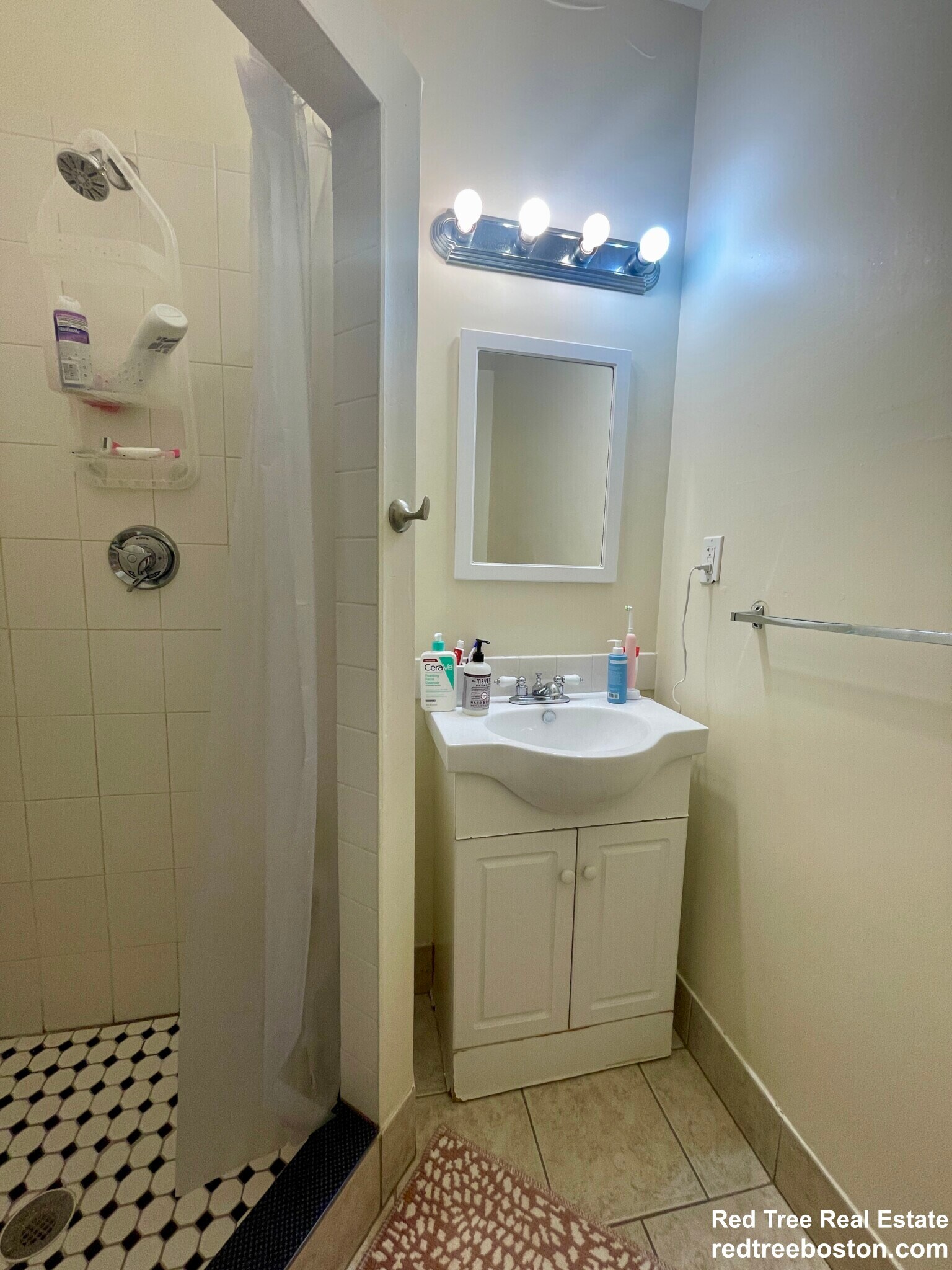 Building Photo - 209 Chestnut Hill Ave