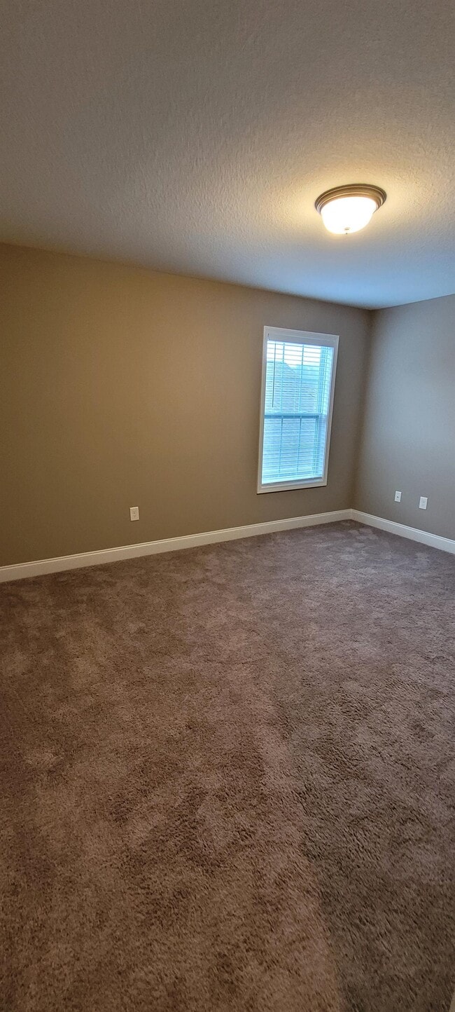 Building Photo - 103 W Rarity Ridge Pkwy