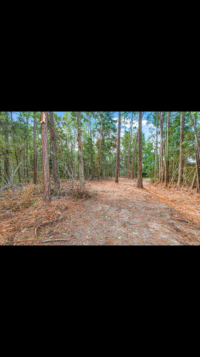 Building Photo - 164 Golden Meadow Dr