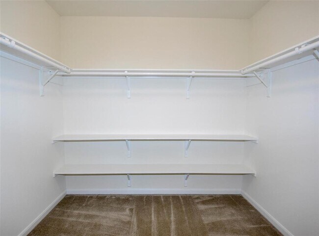 Building Photo - 11663 Rosewood Forest Ct