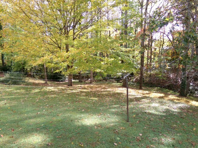 Building Photo - Country Living in Town