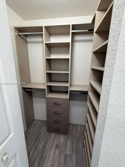 Building Photo - 3872 Tree Top Dr