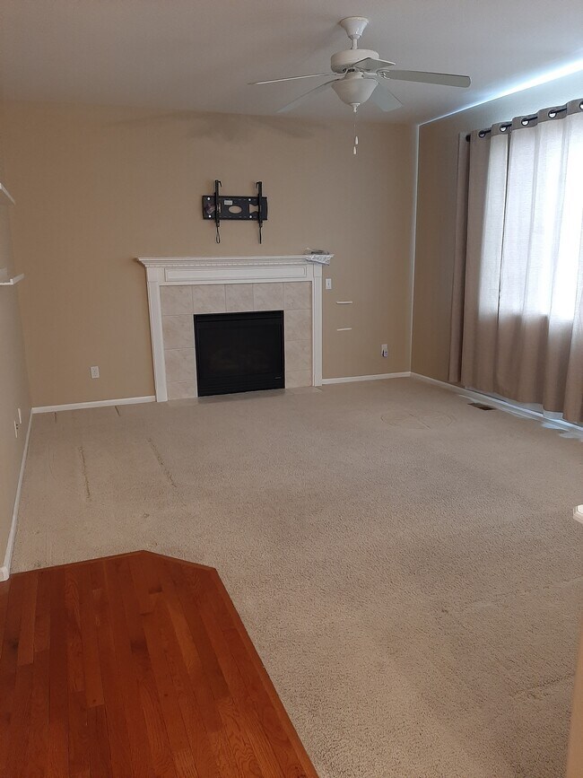 gas fireplace - 14219 Woodrock Path