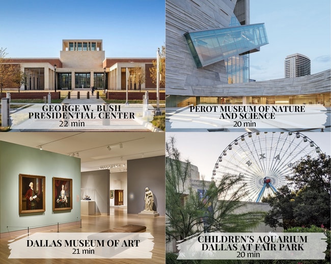 Building Photo - 11210 Cotillion Dr