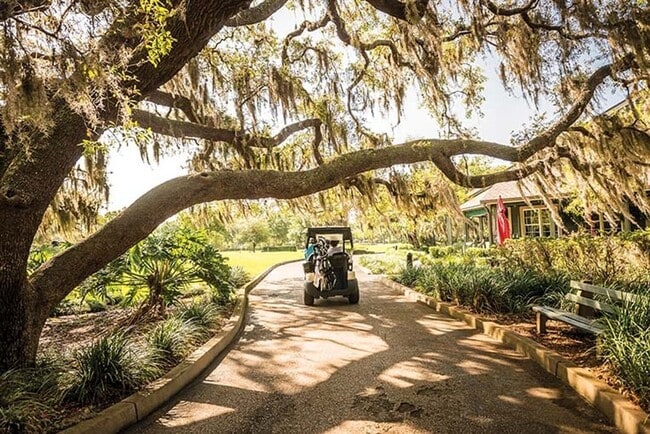 Building Photo - Sleek 1Bedroom/ 1Bath loft-style living in College Park!