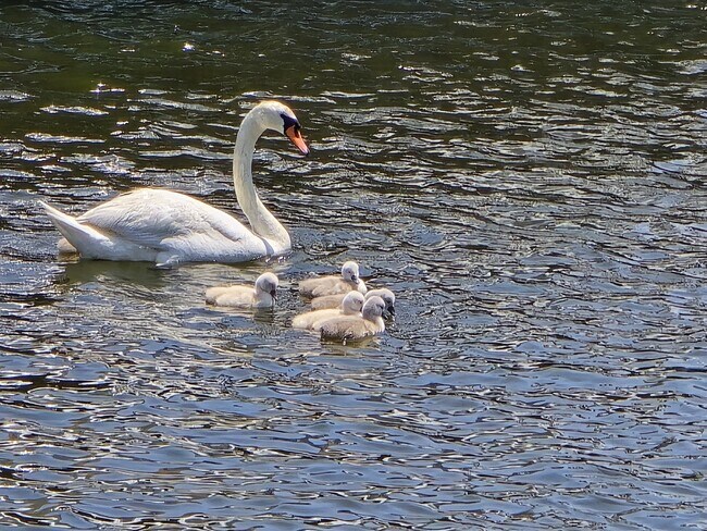 Building Photo - 26 Compass Rd