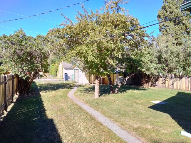 backyard with detached garage - 415 S 5th Ave