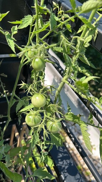 Building Photo - 4804 Georgia Ave NW