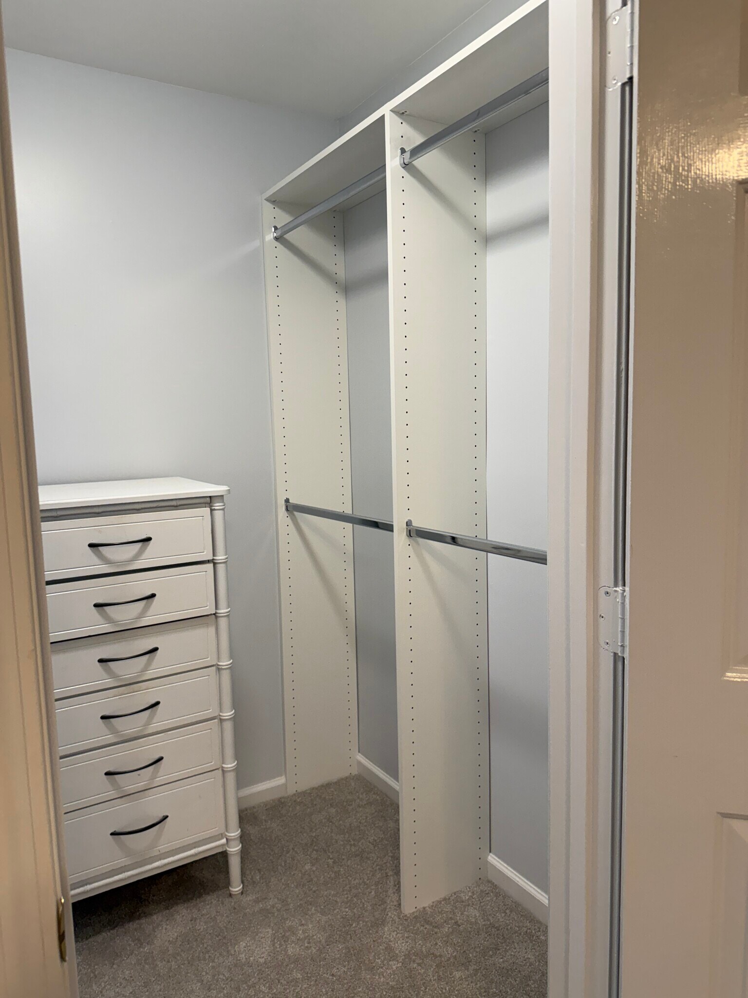 Second bedroom with new closet inserts, dresser staying - 226 Hillsboro Pl