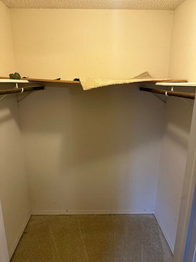 Building Photo - Available Now!  3-Bedroom, 2-Bathroom Spri...