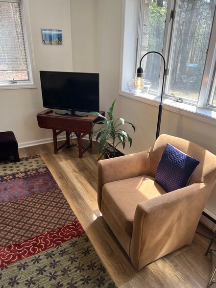 Lower level living room - 45 Pentland Hills Dr