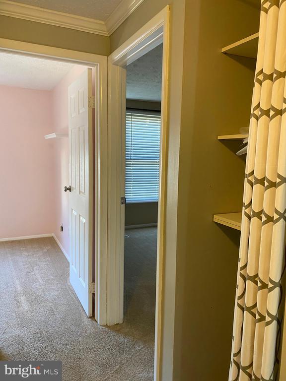 Building Photo - 1666 Barnstead Dr