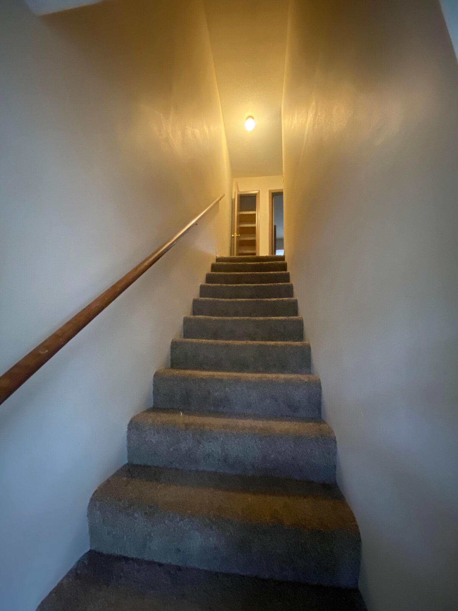 Building Photo - 1008 Jane Dr