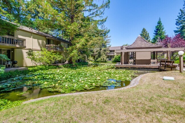 Building Photo - Beautiful 2BR 2BA downstairs condo in Moun...