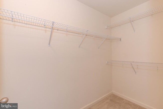 Building Photo - 228 Morlatt Ln