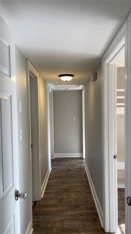 Building Photo - 313 Satsuma Dr