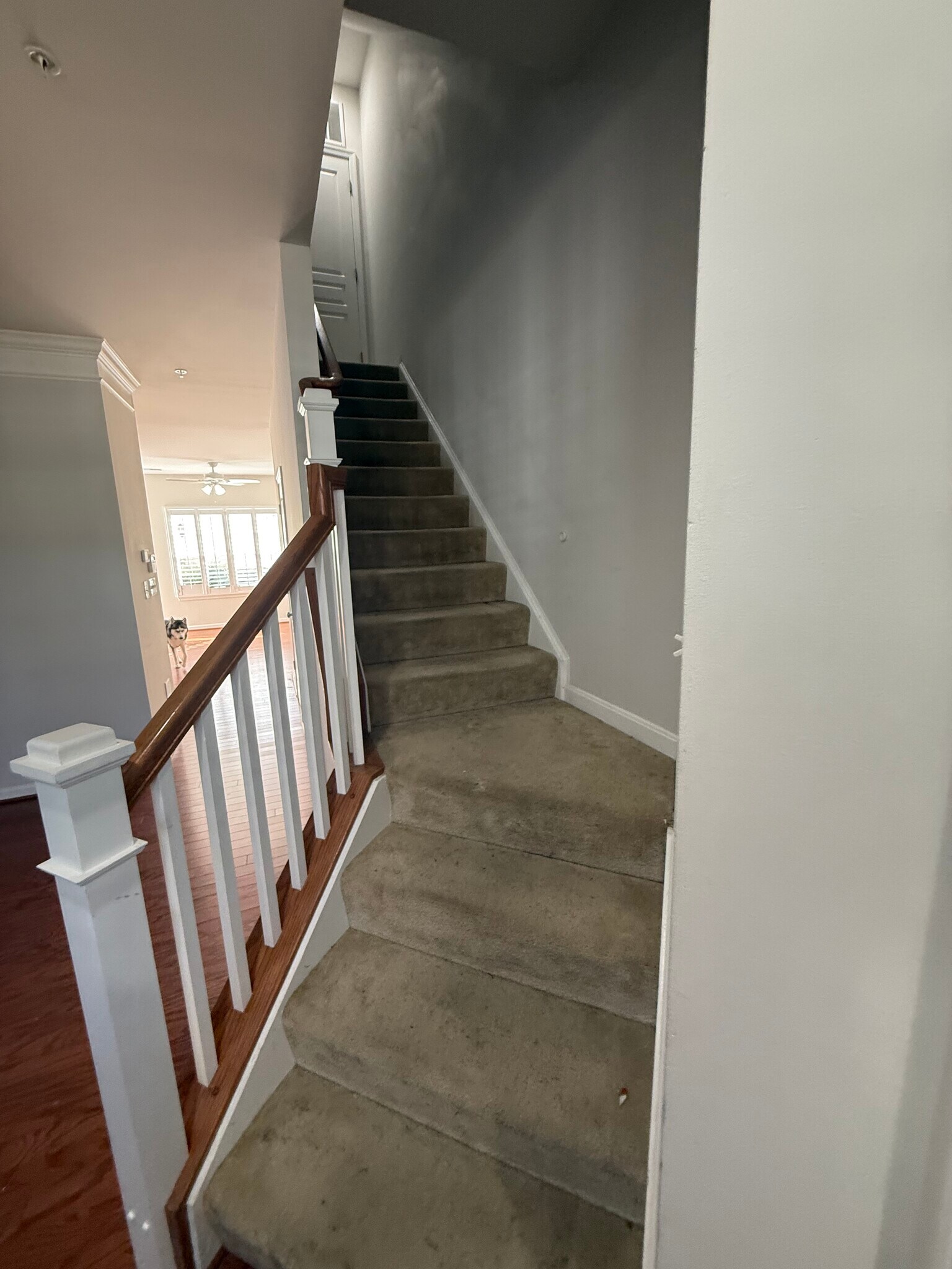 Building Photo - 20 Boucher Pl