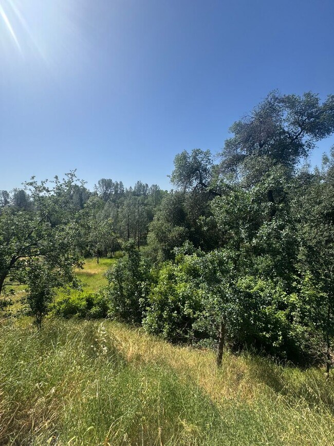 Building Photo - 4 BED/2 BATH IN REDDING IN THE WESTSIDE ES...