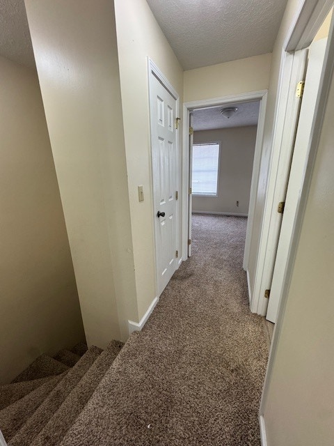 Building Photo - 3601 Overcast Rd