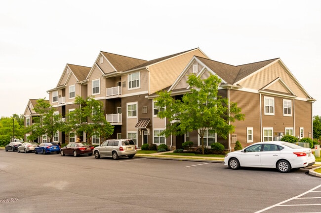 Holly Tree Apartments - Holly Tree