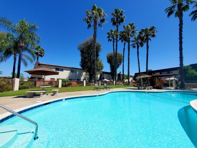 Interior Photo - Paseo Del Prado Apartments!