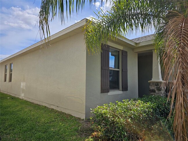 Building Photo - 4078 Pindo Palm Ln