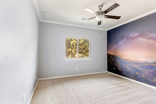 Building Photo - 2817 Shadow Woods Ct