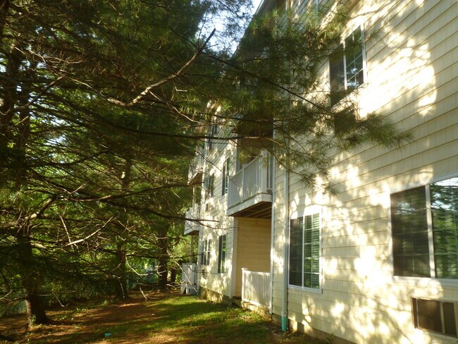 Building Photo - 2955 Madison Ave