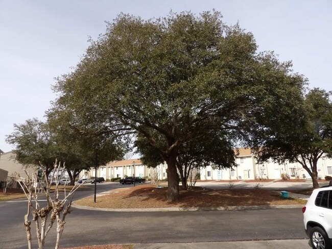 Building Photo - 951 Plantation Dr