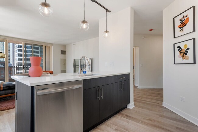 Building Photo - 45 E Chicago Ave