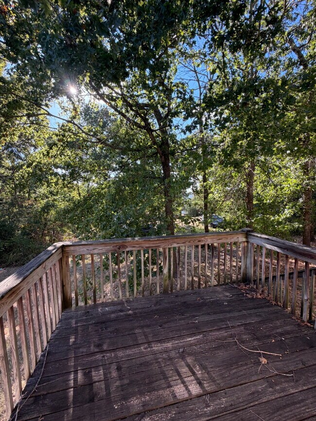 Building Photo - "Charming 4-Bedroom Home with 2.5 Baths on Knox Avenue – A Cozy Retreat in Hollister, MO!"