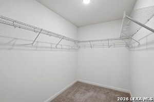 Building Photo - 14755 Maple Ter