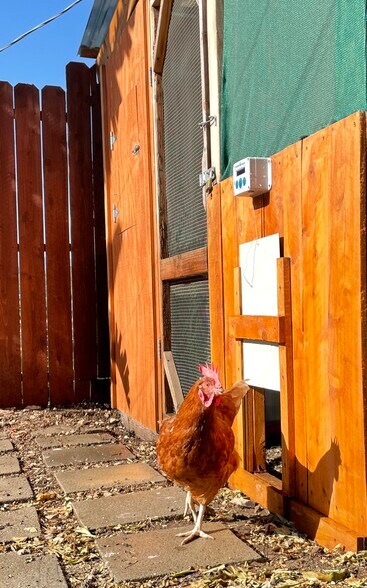 Building Photo - 2437 Arthur St