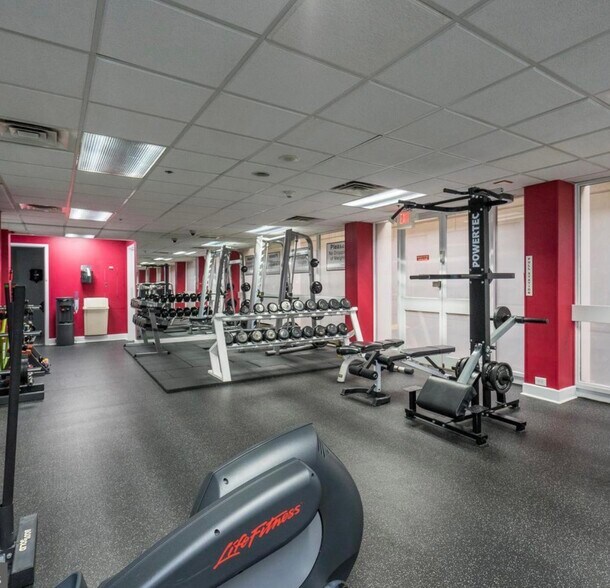 Professional gym included in rent - 2001 Hamilton St