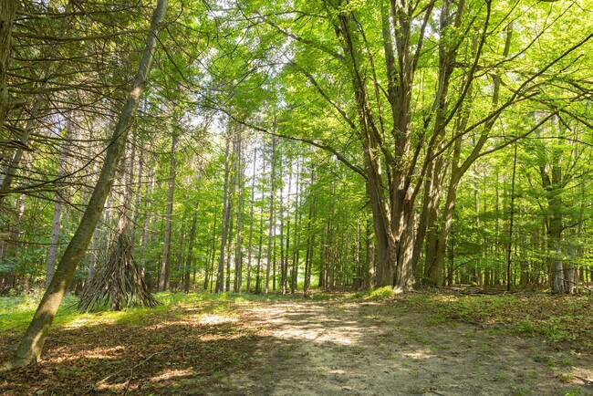 Building Photo - 8212 Bennett Rd