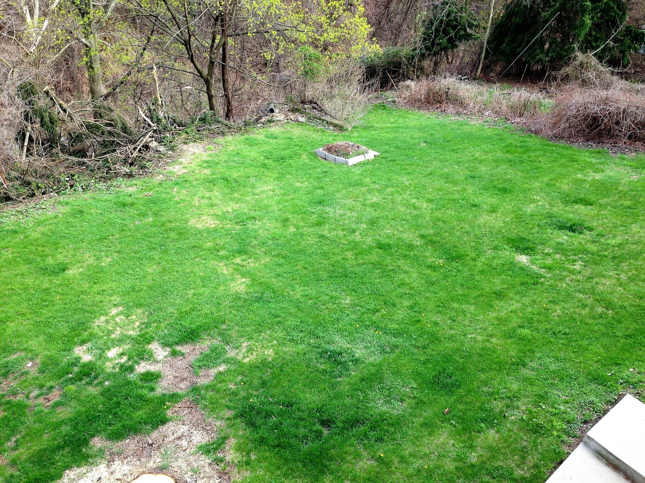 Building Photo - 3213 Josephine St