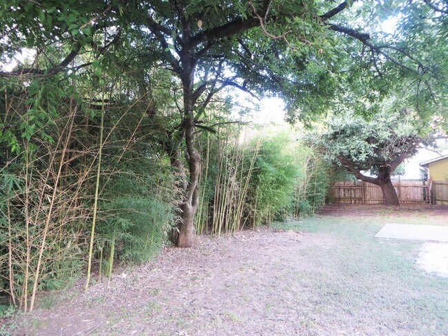 Building Photo - 2 Bedroom 2 Bathroom Georgetown Duplex