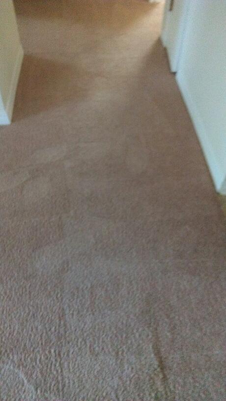 Building Photo - Great 2-Bedroom Unit in Fort Walton Beach-Near Bases!