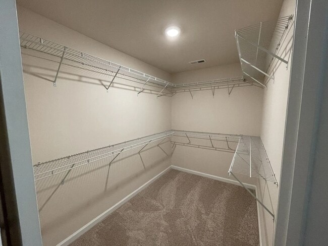 Building Photo - Beautiful 3BR w/ Garage