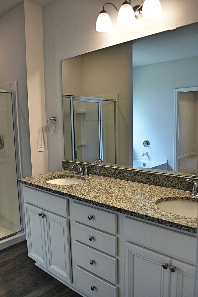 Building Photo - Brand New- 4 Bedroom 2 Bath in Santa Rosa ...